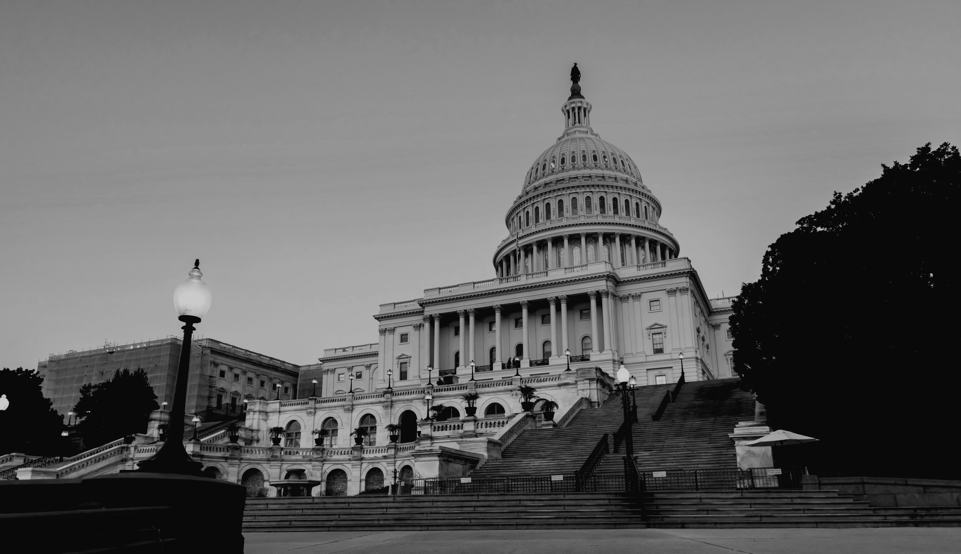 Nancy Capitol Hill Hero