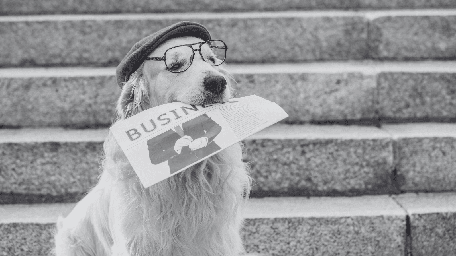 Press Release Blog Hero