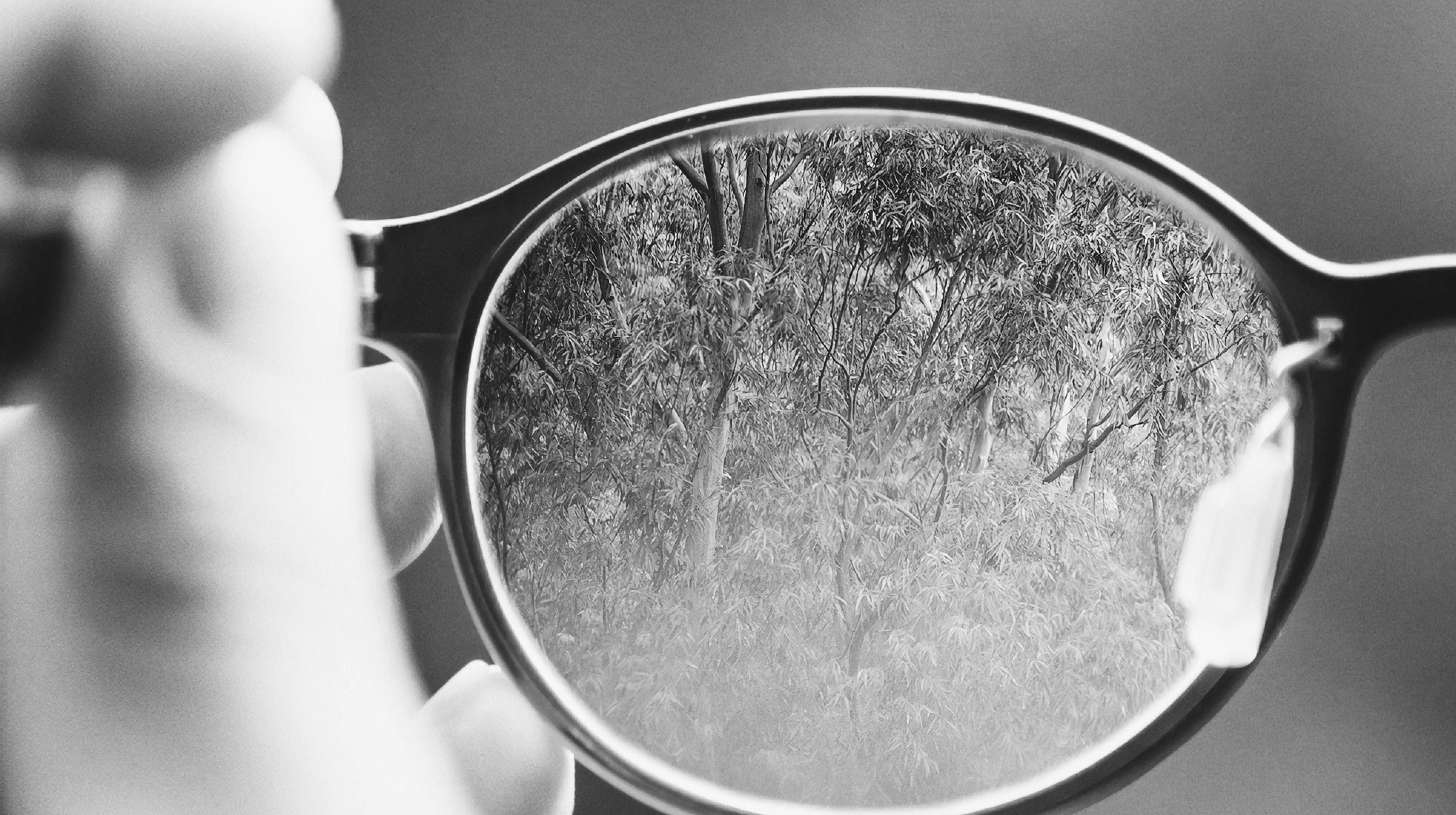 Black and white image of eye glasses focusing on trees