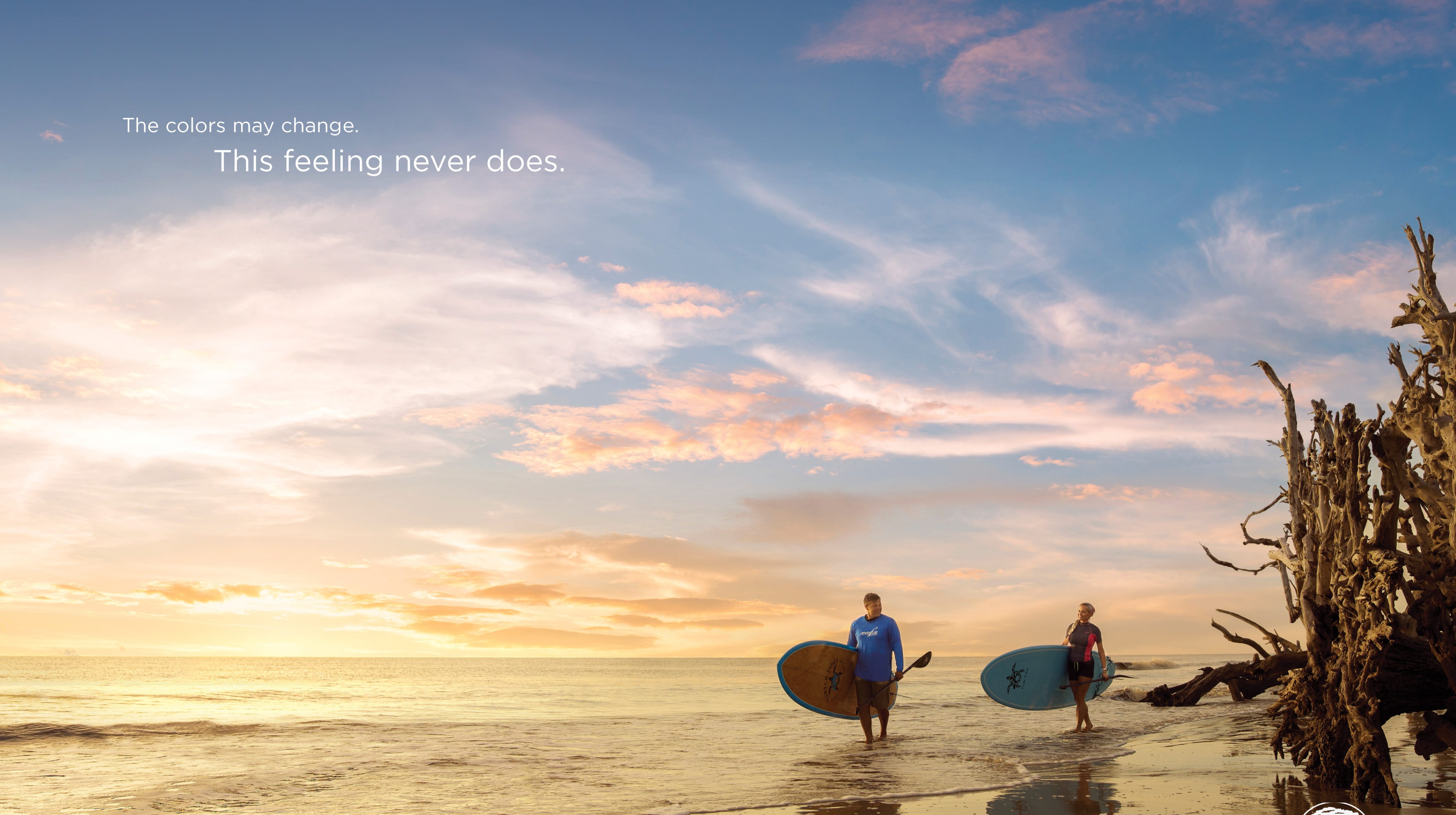 2025 GI Campaign Colors