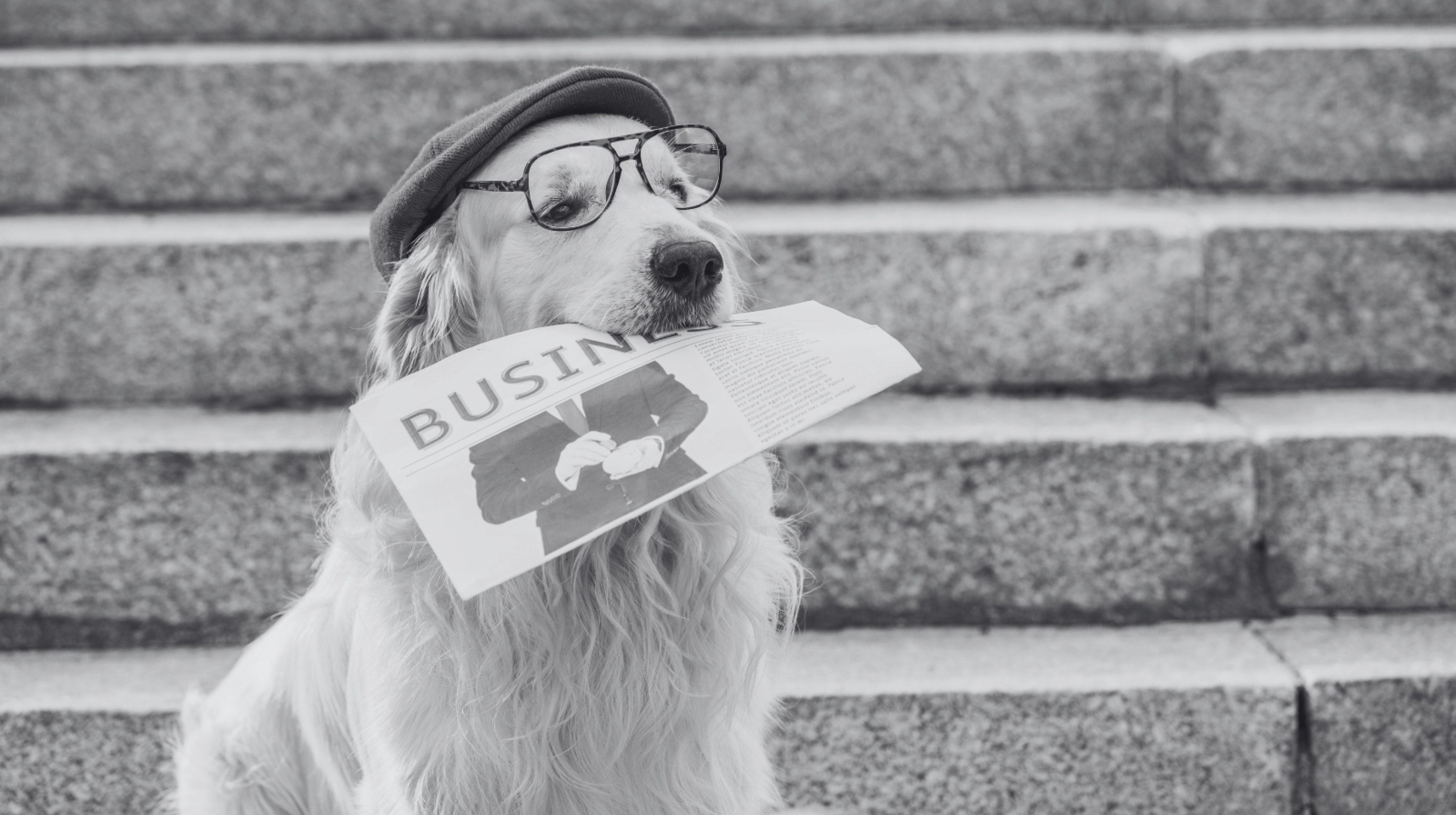 Press Release Blog Hero