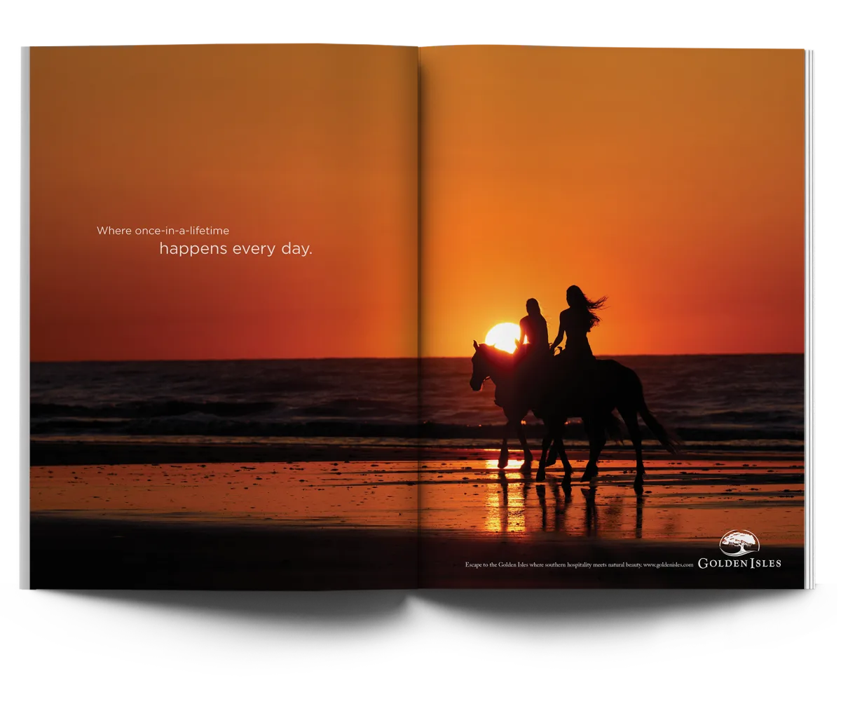 2025 Campaign Lifetime