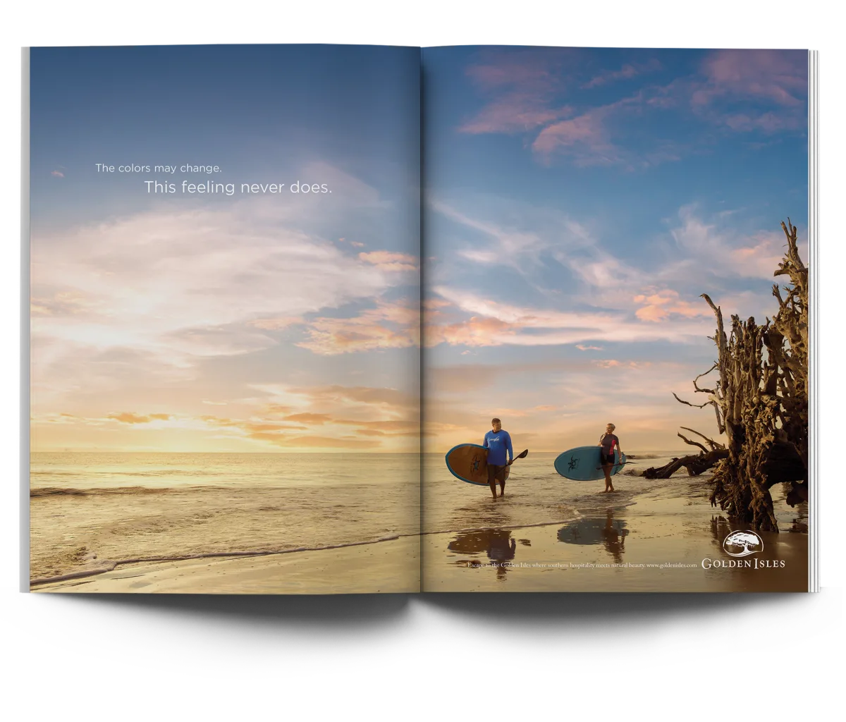 2025 Campaign Feeling