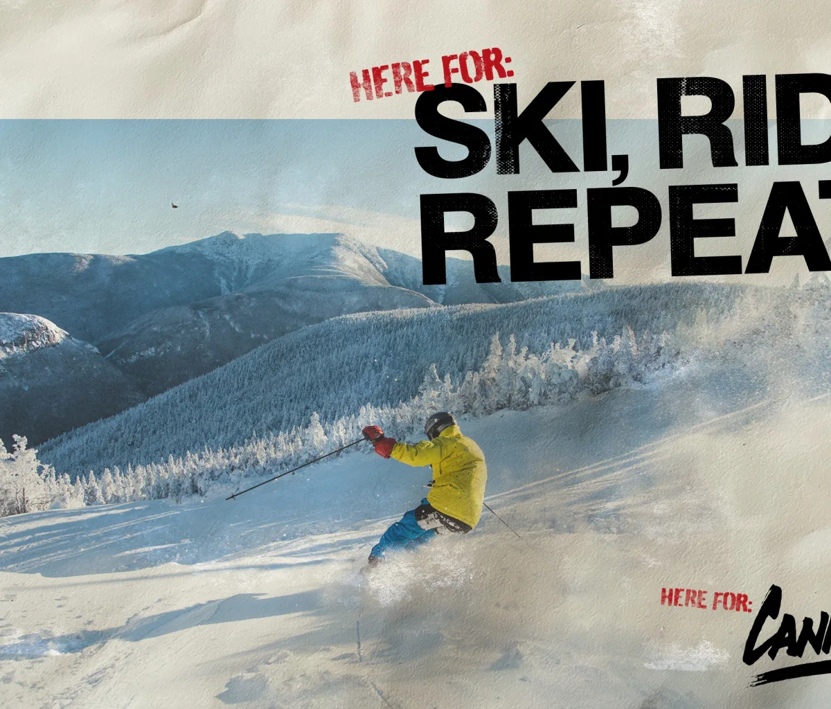 Cannon Agency Repeat