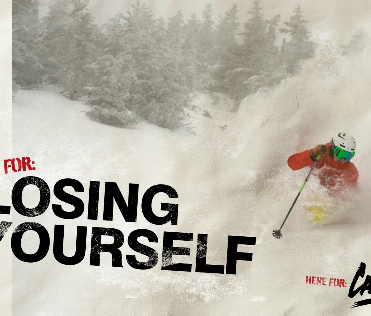 Cannon Agency Losing